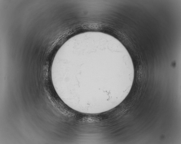 X0000115230739200912111029