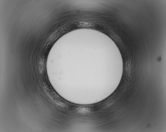 X0000115230741200912111029