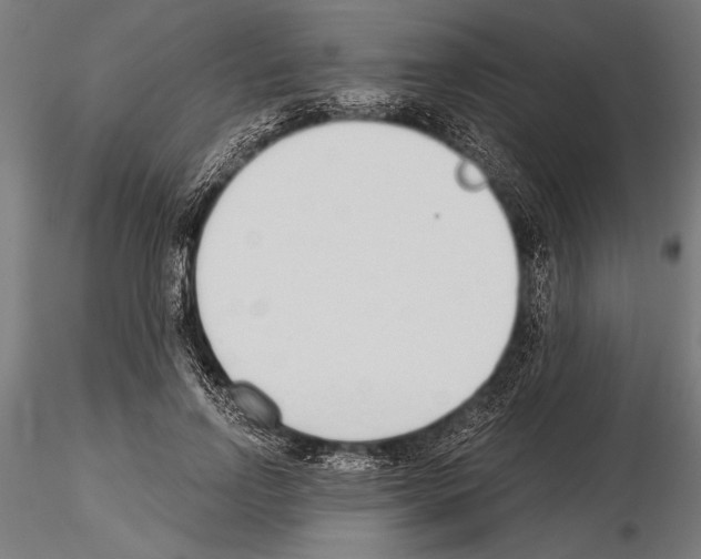 X0000115230742200912111029