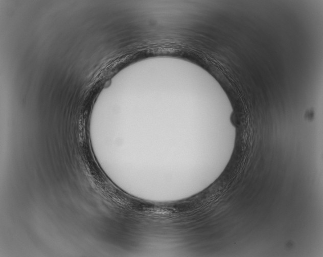 X0000115230743200912111029