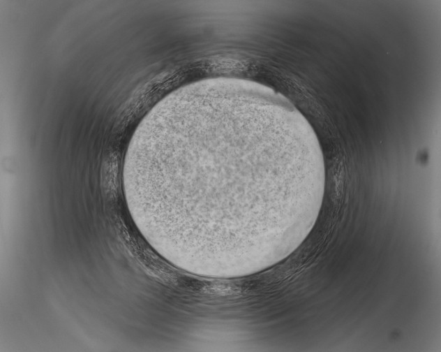 X0000115230745200912111029