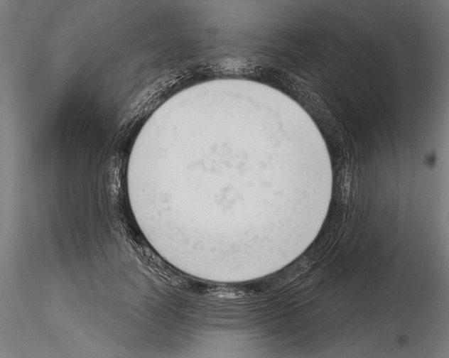 X0000115230746200912111029