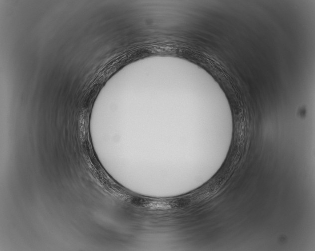 X0000115230749200912111030