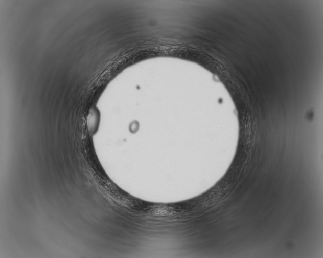 X0000115230750200912111030