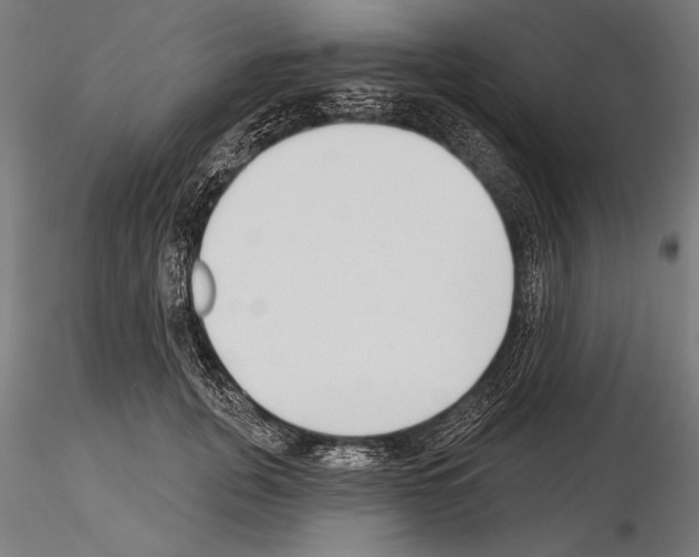 X0000115230751200912111030