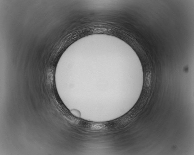 X0000115230753200912111030