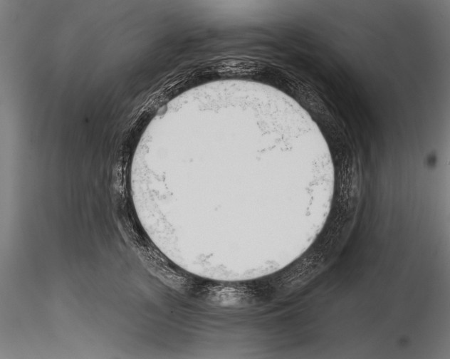 X0000115230755200912111030