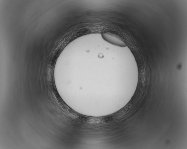 X0000115230757200912111030