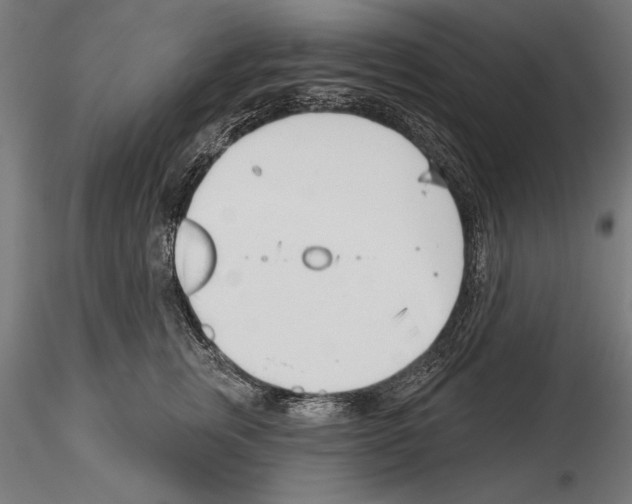 X0000115230759200912111030