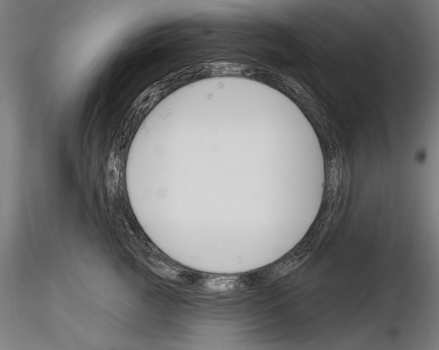 X0000115230761200912111030