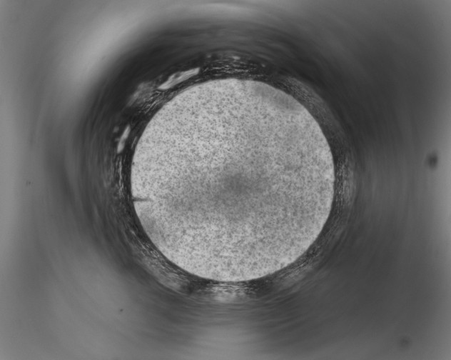 X0000115230762200912111030