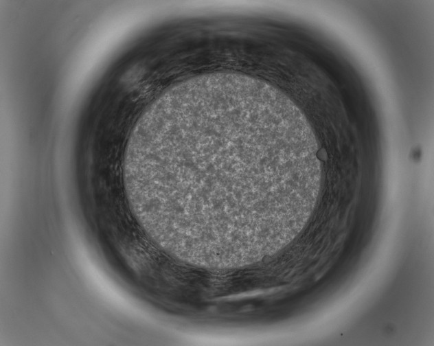 X0000115230766200912111030