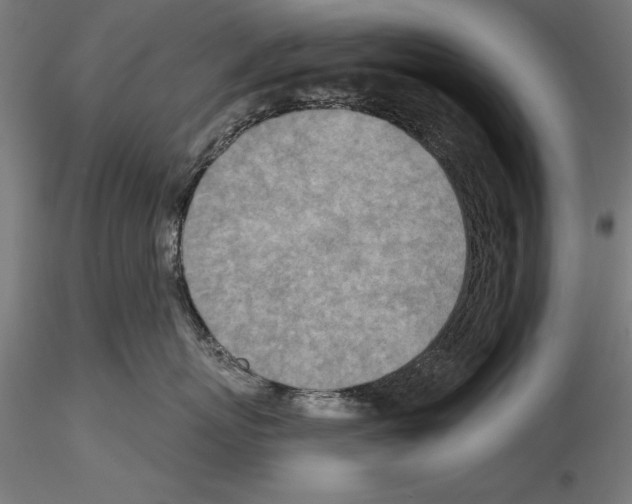 X0000115230767200912111030