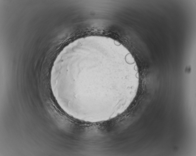 X0000115230769200912111029