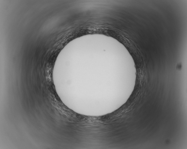 X0000115230770200912111029