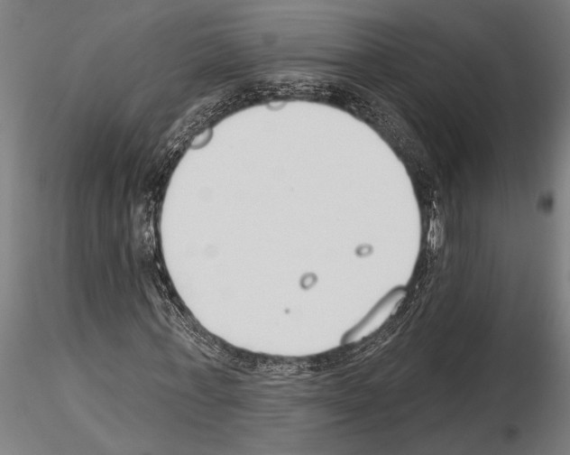 X0000115230771200912111029