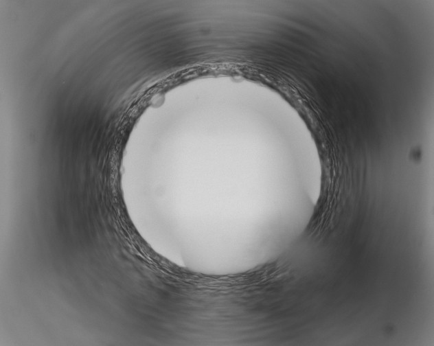 X0000115230773200912111029