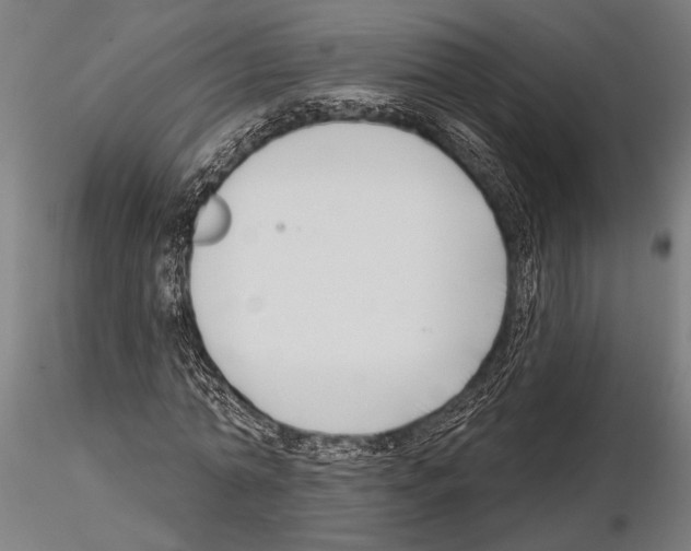 X0000115230774200912111029