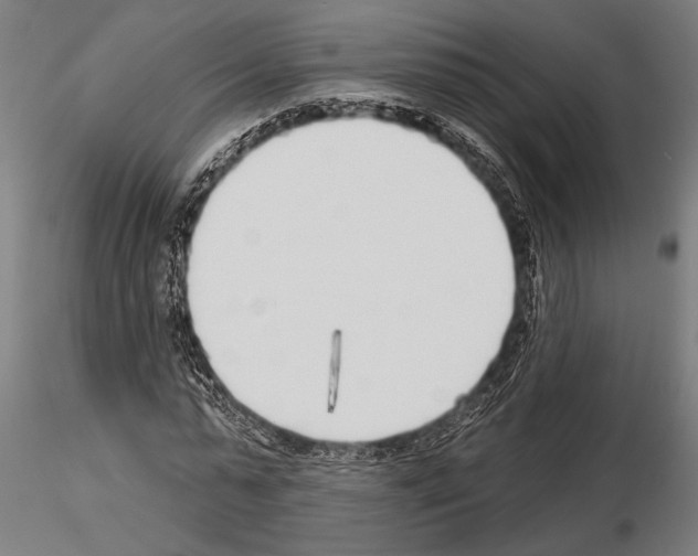 X0000115230775200912111029