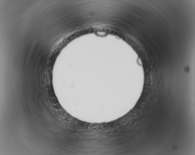 X0000115230776200912111029