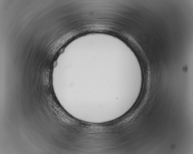 X0000115230777200912111029