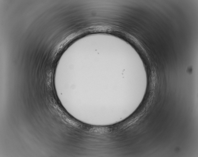 X0000115230778200912111029