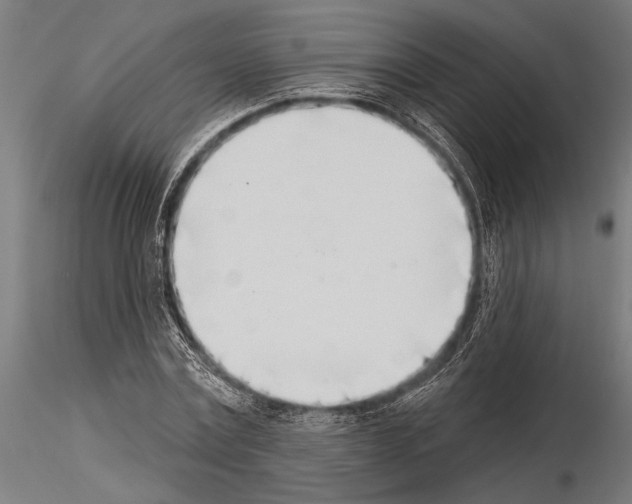 X0000115230779200912111029