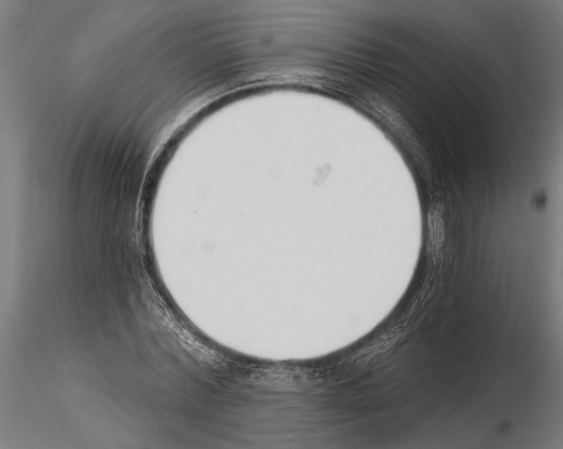 X0000115230780200912111029