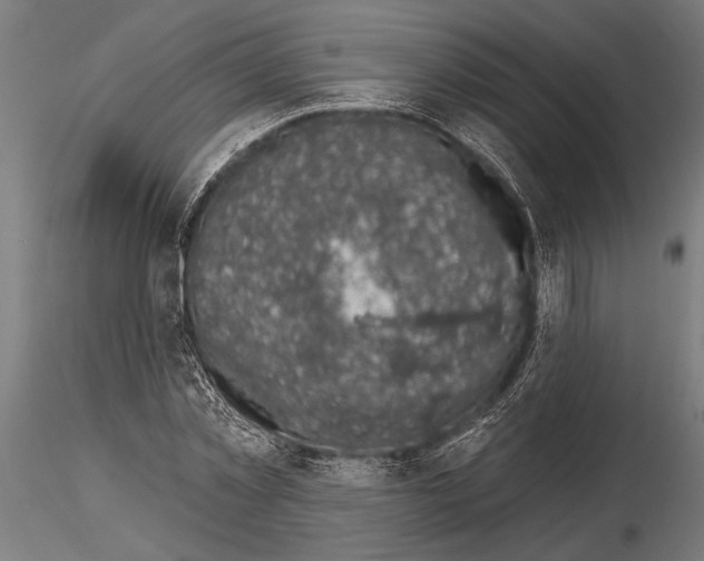 X0000115230781200912111029