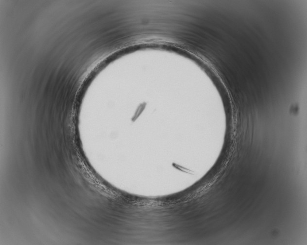 X0000115230783200912111029