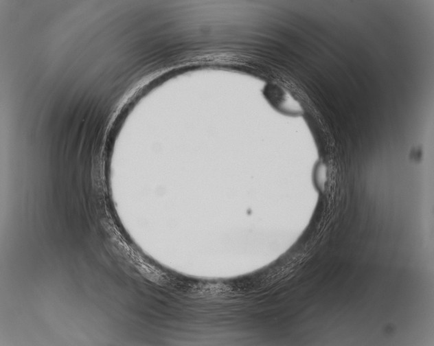 X0000115230784200912111029