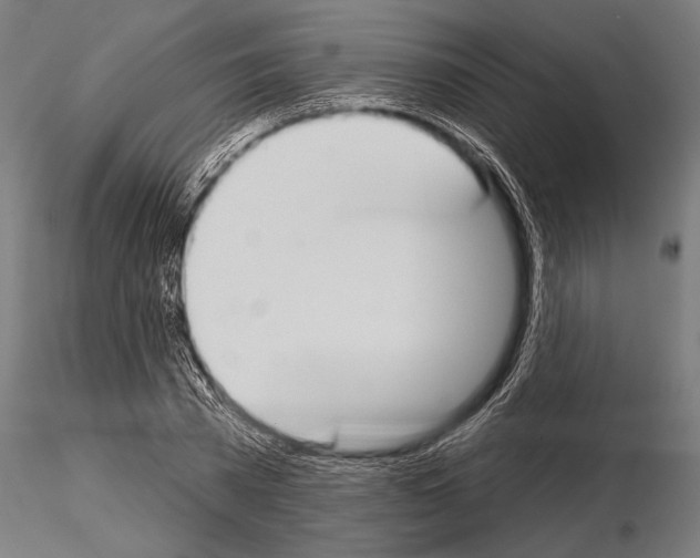 X0000115230785200912111029