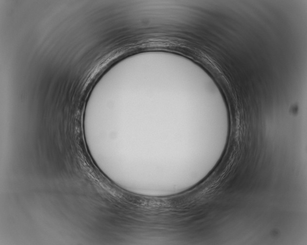 X0000115230786200912111029