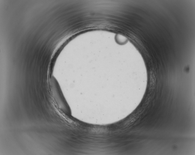 X0000115230788200912111029