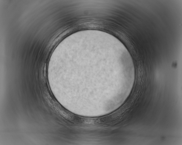 X0000115230790200912111029