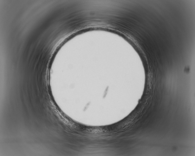 X0000115230791200912111029