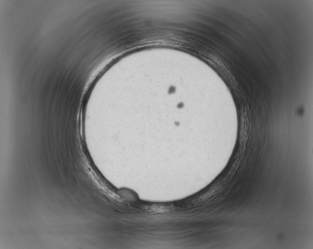 X0000115230796200912111028