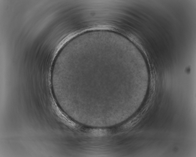 X0000115230797200912111028