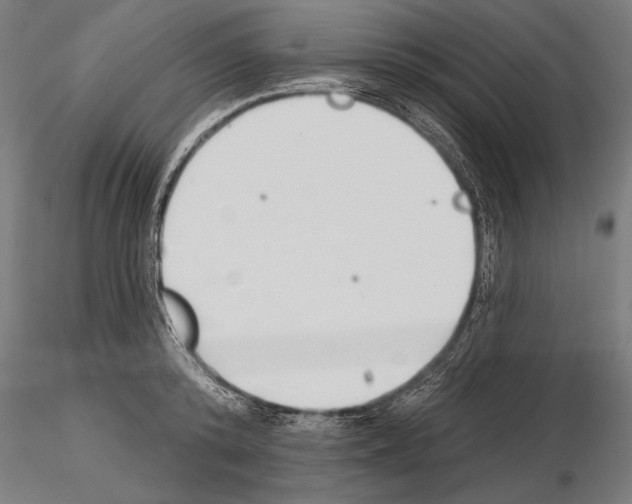 X0000115230800200912111028