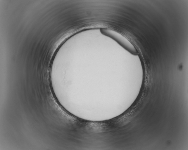 X0000115230805200912111028