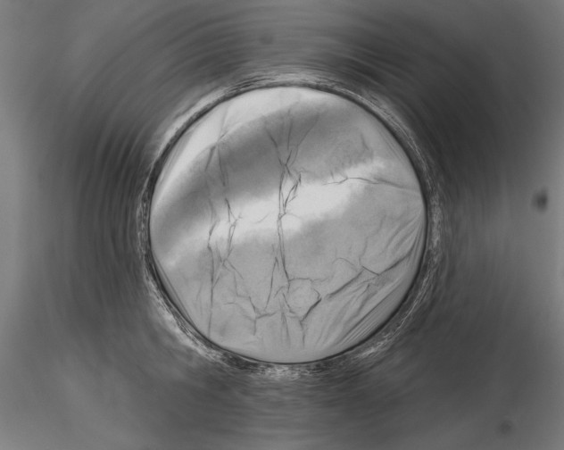 X0000115230806200912111028