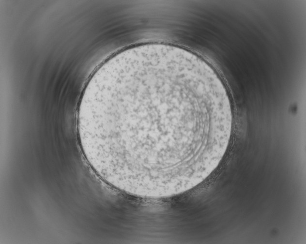 X0000115230807200912111028