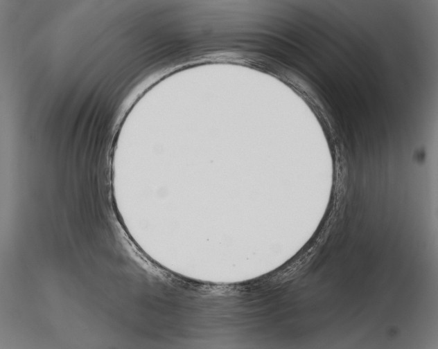 X0000115230808200912111028