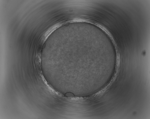 X0000115230809200912111028