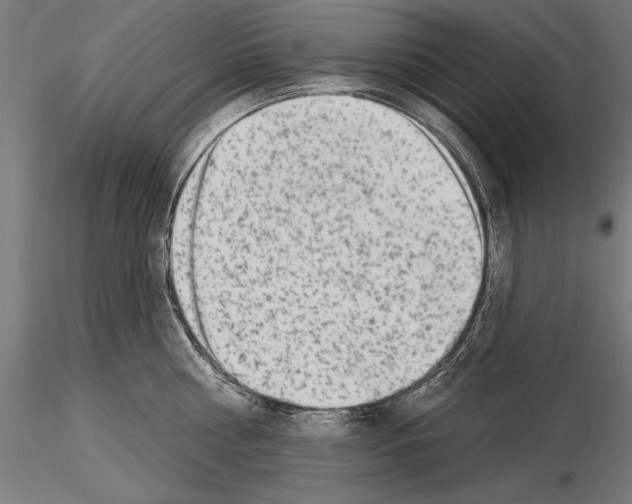 X0000115230810200912111028