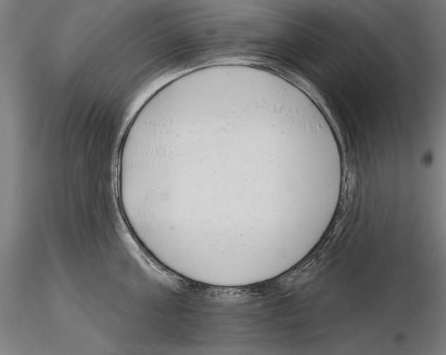 X0000115230811200912111028