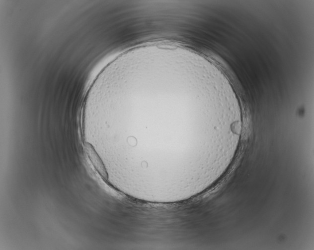 X0000115230812200912111028