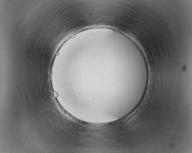 X0000115230813200912111028