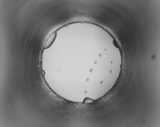 X0000115230815200912111028