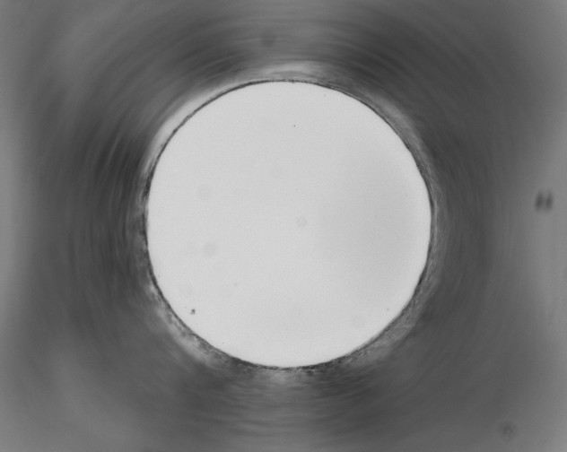 X0000115230816200912111028